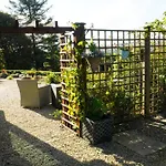 Ivy Lodge