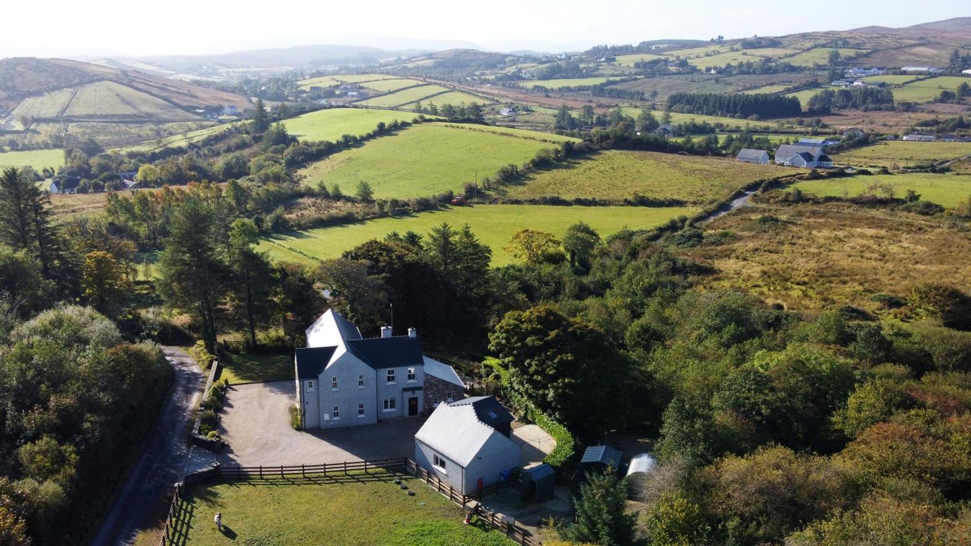 Ivy Letterkenny