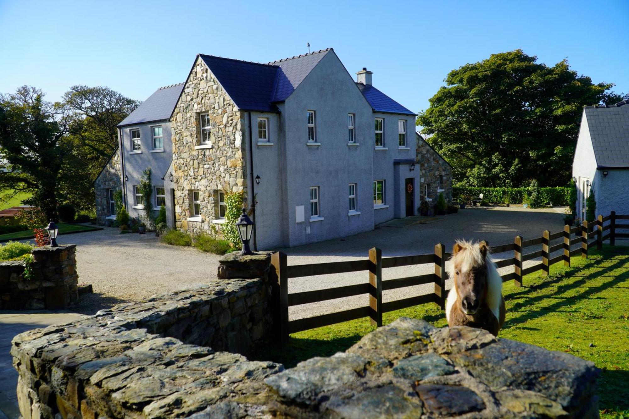 Ivy Letterkenny